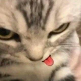 Samu
