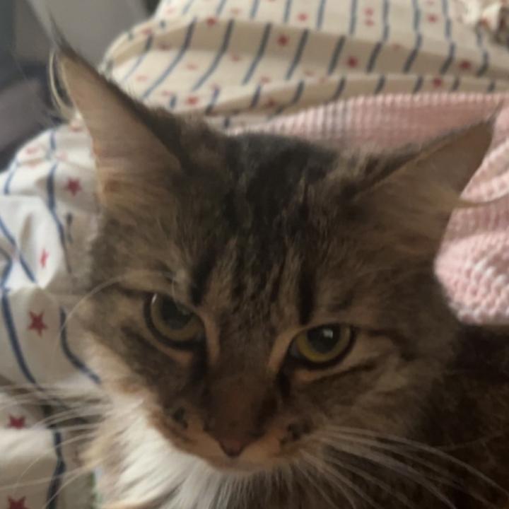 Savannah
