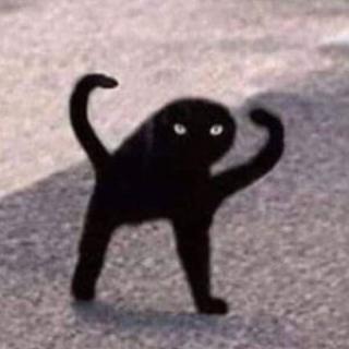 sWioO
