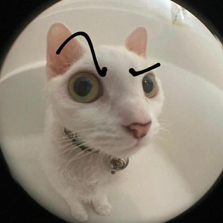 Tanjirox