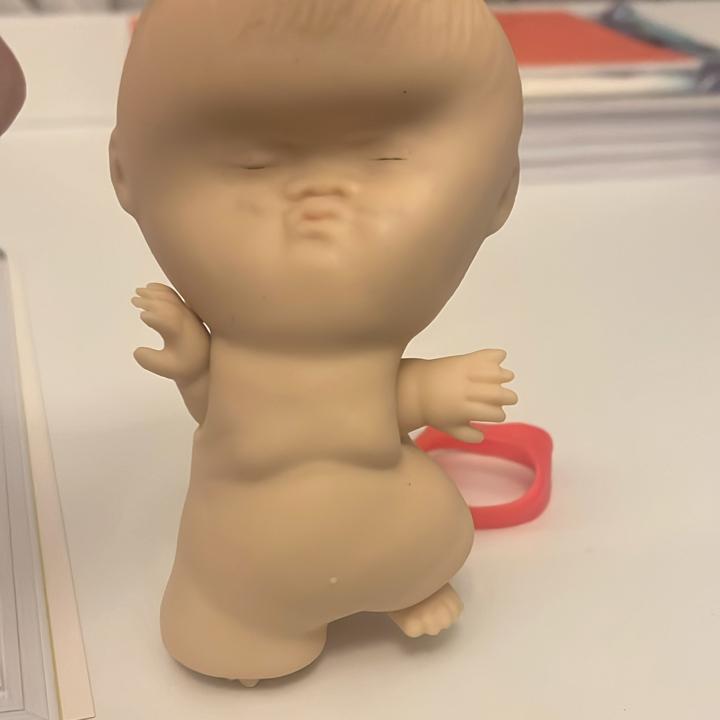 tasikoaa