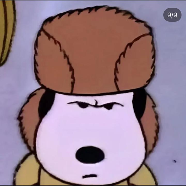 LovePitbullAndEminem