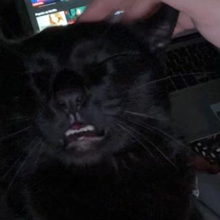 Gigglesfart