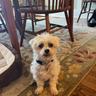 Milo