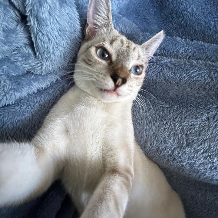 Avery
