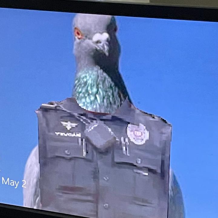 Matt Yevcak
