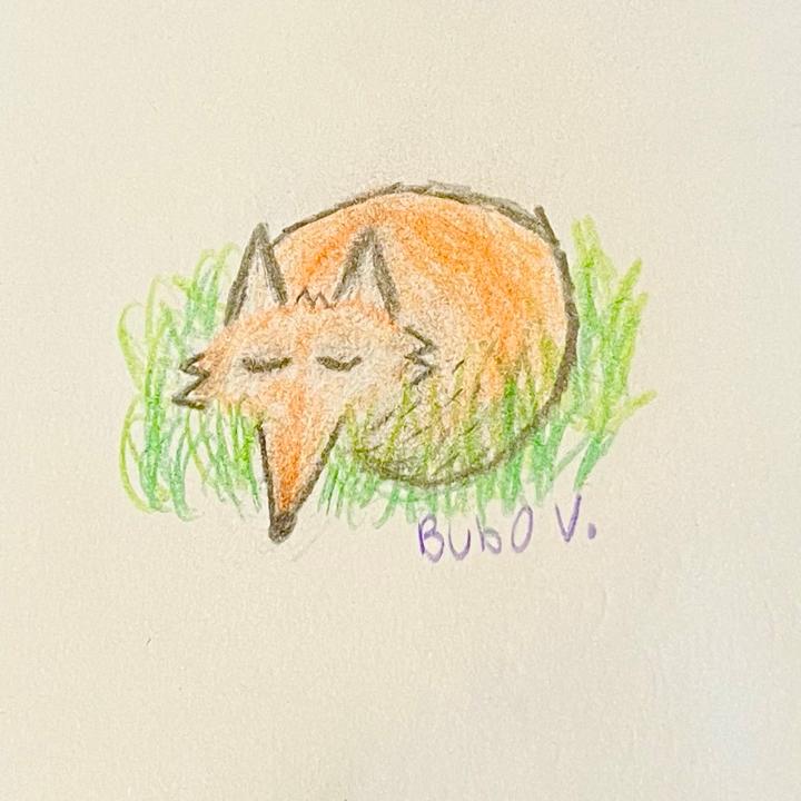 Bubo V. 
