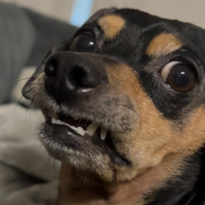 Dexter