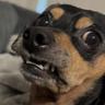 Dexter